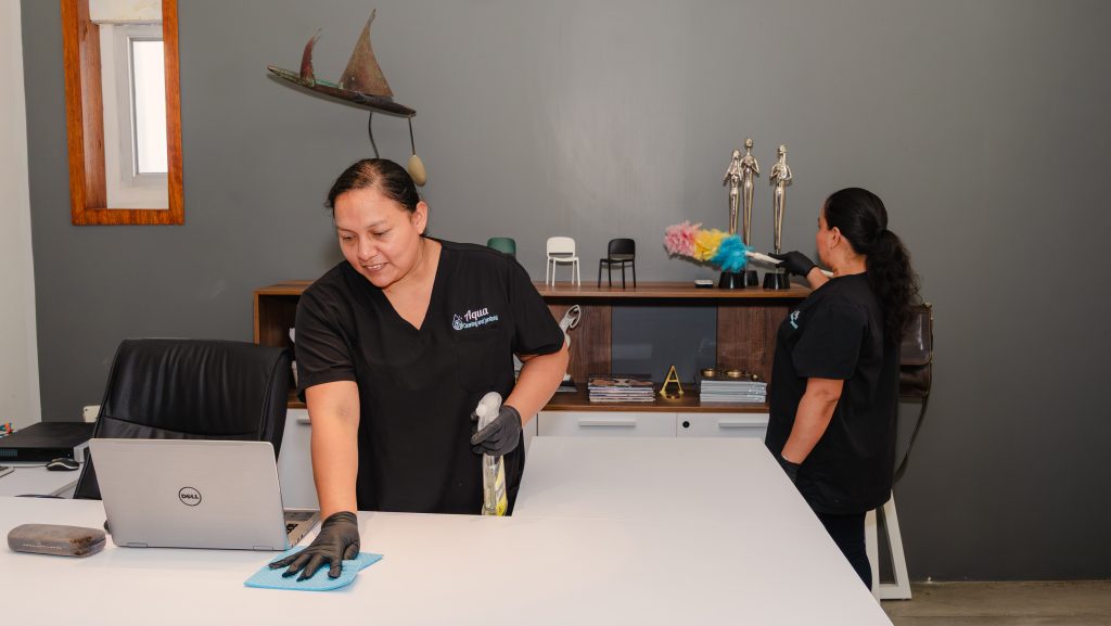 cleaners cleaning home office